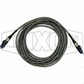 Dixon ADS Spillguard Armored Cable, 3 Pin Connector, For Use with ADS Spillguard System, 316 SS A200CA3P20